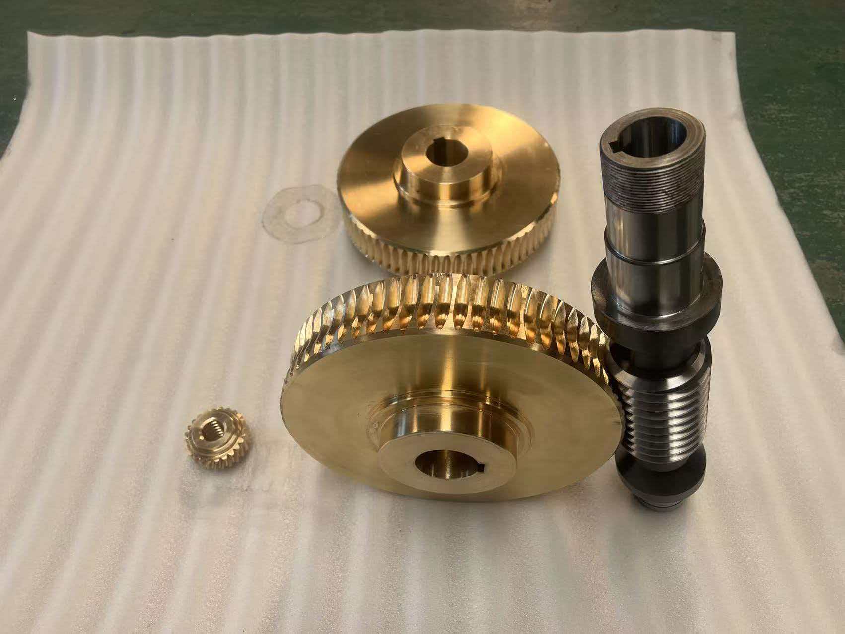 Custom Zero-Backlash Double-Lead Worm Gear for Screw Jack Spare Parts