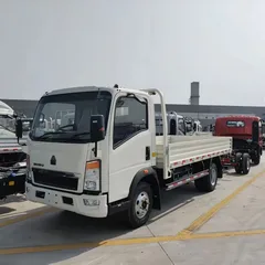 Sinotruk HOWO 4x2 Cargo Truck