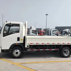 Sinotruk HOWO 4x2 Cargo Truck