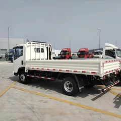 Sinotruk HOWO 4x2 Cargo Truck