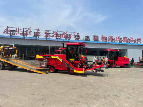7-Row Garlic Combine Harvester 4DS-128A, Self-propelled Multi-function Garlic Harvesting Machine