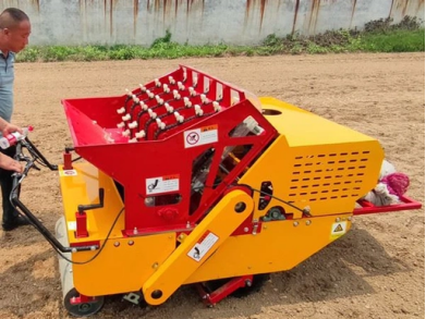 5-Row Precision Garlic Seeder, ≤1% Leakage, ≥93% Bud-oriented Rate, Customizable Row Spacing