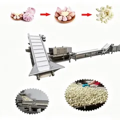 Integrated Garlic Separating, Peeling, Washing & Drying Machine, High-capacity Food Grade Garlic Equipment