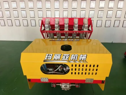 5-Row Precision Garlic Seeder, ≤1% Leakage, ≥93% Bud-oriented Rate, Customizable Row Spacing