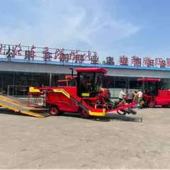 7-Row Garlic Combine Harvester 4DS-128A, Self-propelled Multi-function Garlic Harvesting Machine