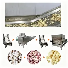 Integrated Garlic Separating, Peeling, Washing & Drying Machine, High-capacity Food Grade Garlic Equipment