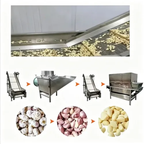 Integrated Garlic Separating, Peeling, Washing & Drying Machine, High-capacity Food Grade Garlic Equipment