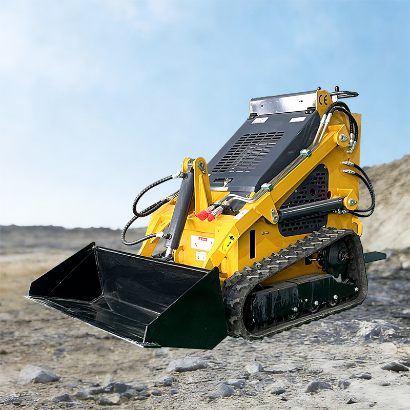 Skid Steer Loader (Crawler Type)