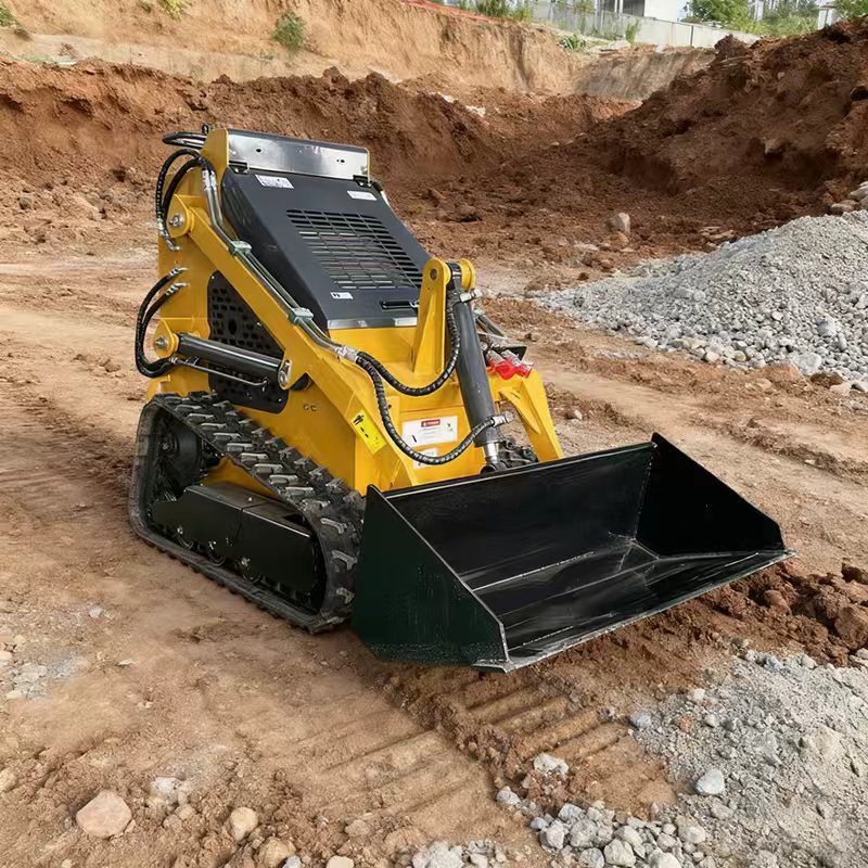 Skid Steer Loader (Crawler Type)