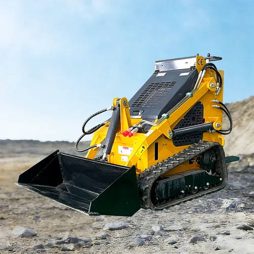 Skid Steer Loader (Crawler Type)