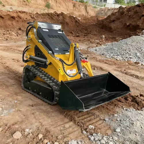 Skid Steer Loader (Crawler Type)