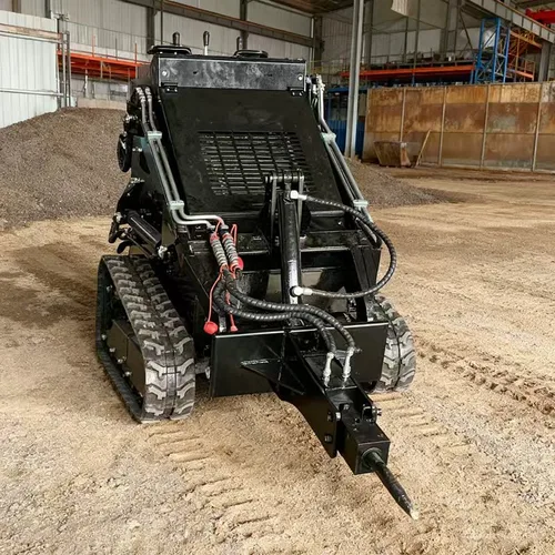 Skid Steer Loader (Crawler Type)