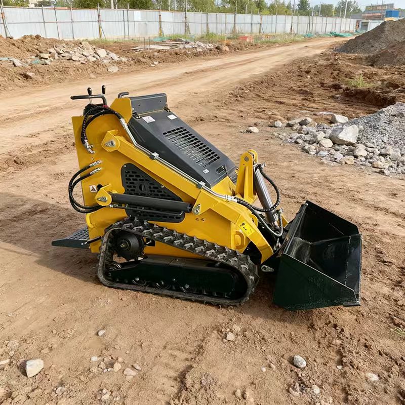 Skid Steer Loader (Crawler Type)