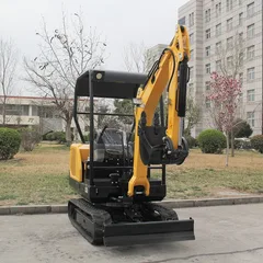 2.5 Ton Mini Excavator | 3800mm Max Radius & 50L/Min Flow | Yanmar Option Available