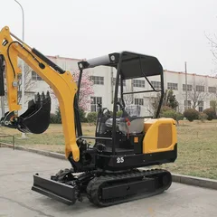 2.5 Ton Mini Excavator | 3800mm Max Radius & 50L/Min Flow | Yanmar Option Available