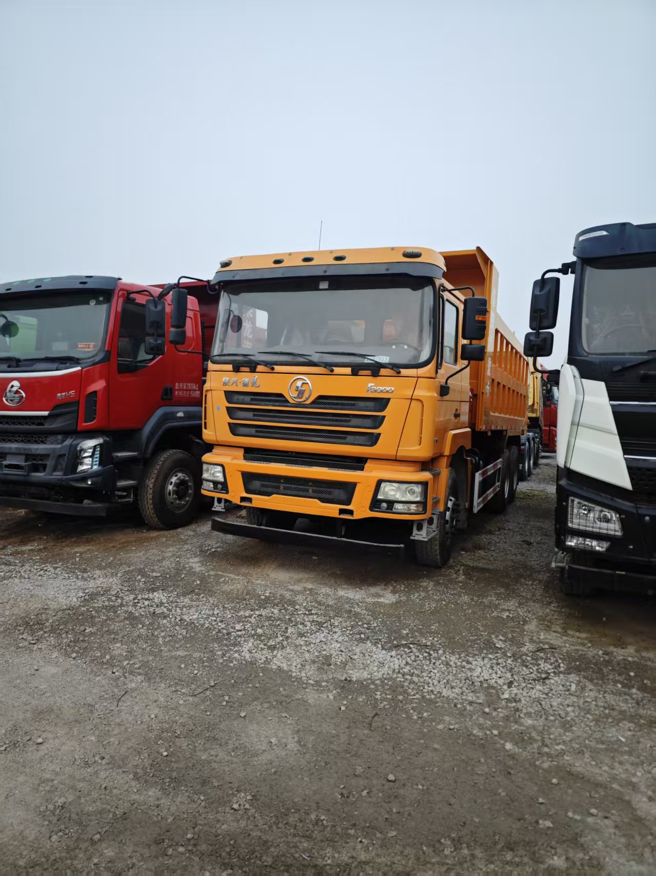 High Reliability SHACMAN F3000 Tipper Truck, 10-25m³ Capacity LHD Dump Truck at Factory Price for Saudi Arabia & Africa Market