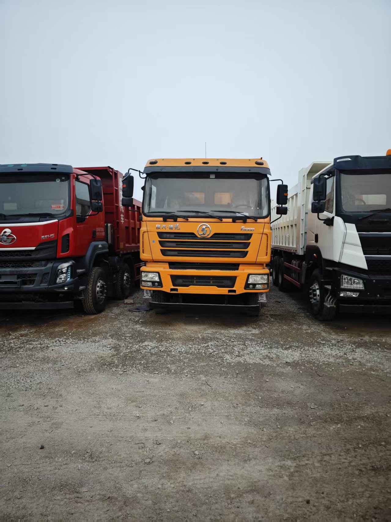 High Reliability SHACMAN F3000 Tipper Truck, 10-25m³ Capacity LHD Dump Truck at Factory Price for Saudi Arabia & Africa Market