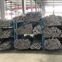 Rock Bolt