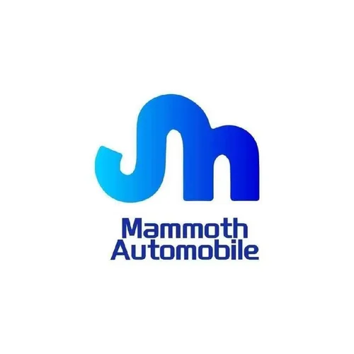 Shandong Mammoth Automotive Technology Co., Ltd.