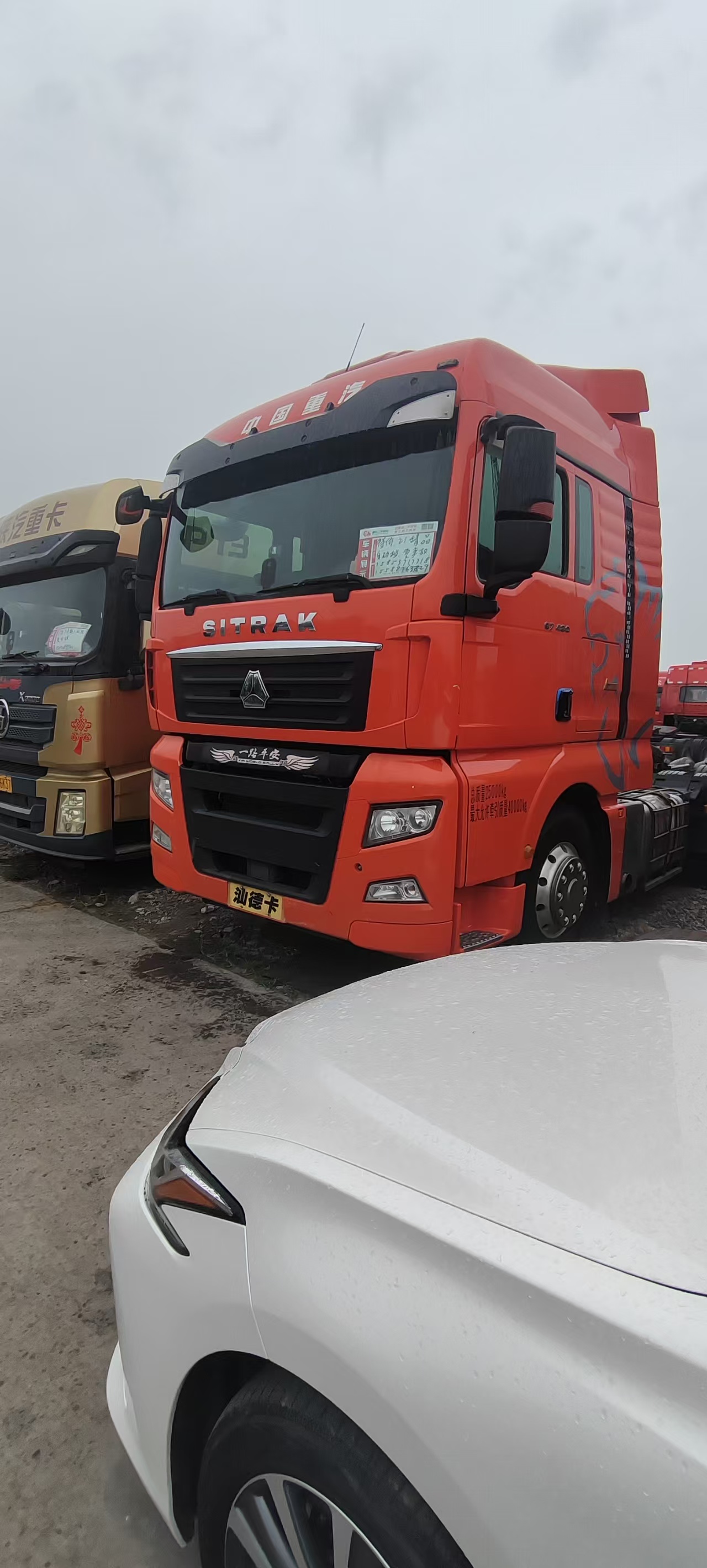 National V Standard SITRAK Heavy Truck 480HP Original MAN Motor Auto Transmission For Long Distance Freight