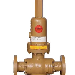 Self-operated control valve
