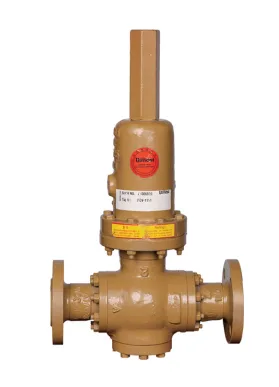 Self-operated control valve