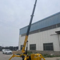 Mini Crawler Spider Crane Telescopic Boom Hydraulic Lifter For Indoor Narrow Space High-Altitude Lifting