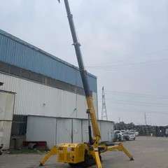 Mini Crawler Spider Crane Telescopic Boom Hydraulic Lifter For Indoor Narrow Space High-Altitude Lifting