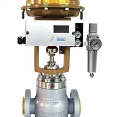 Single-seat Control Valve