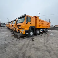 Used SINOTRUK HOWO 8X4 Dump Truck 371HP Big Pump Engine Euro II Standard Reinforced Chassis & Box For Mine Waste Transport Africa Middle East