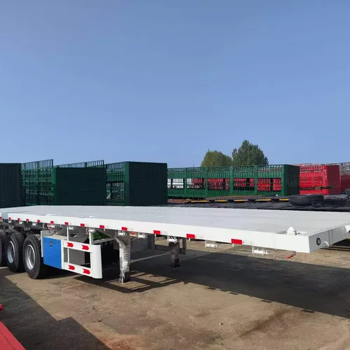 Standard Container Flatbed Trailer 12R22.5 Tires For 20ft/40ft Shipping Container Port Logistics Central Asia Africa