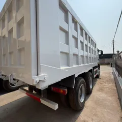 Used SINOTRUK HOWO TX 6×4 Dump Truck 10-wheel Heavy Chassis Diesel & CNG Engine Fast Gearbox Mining Tipper For Africa Middle East