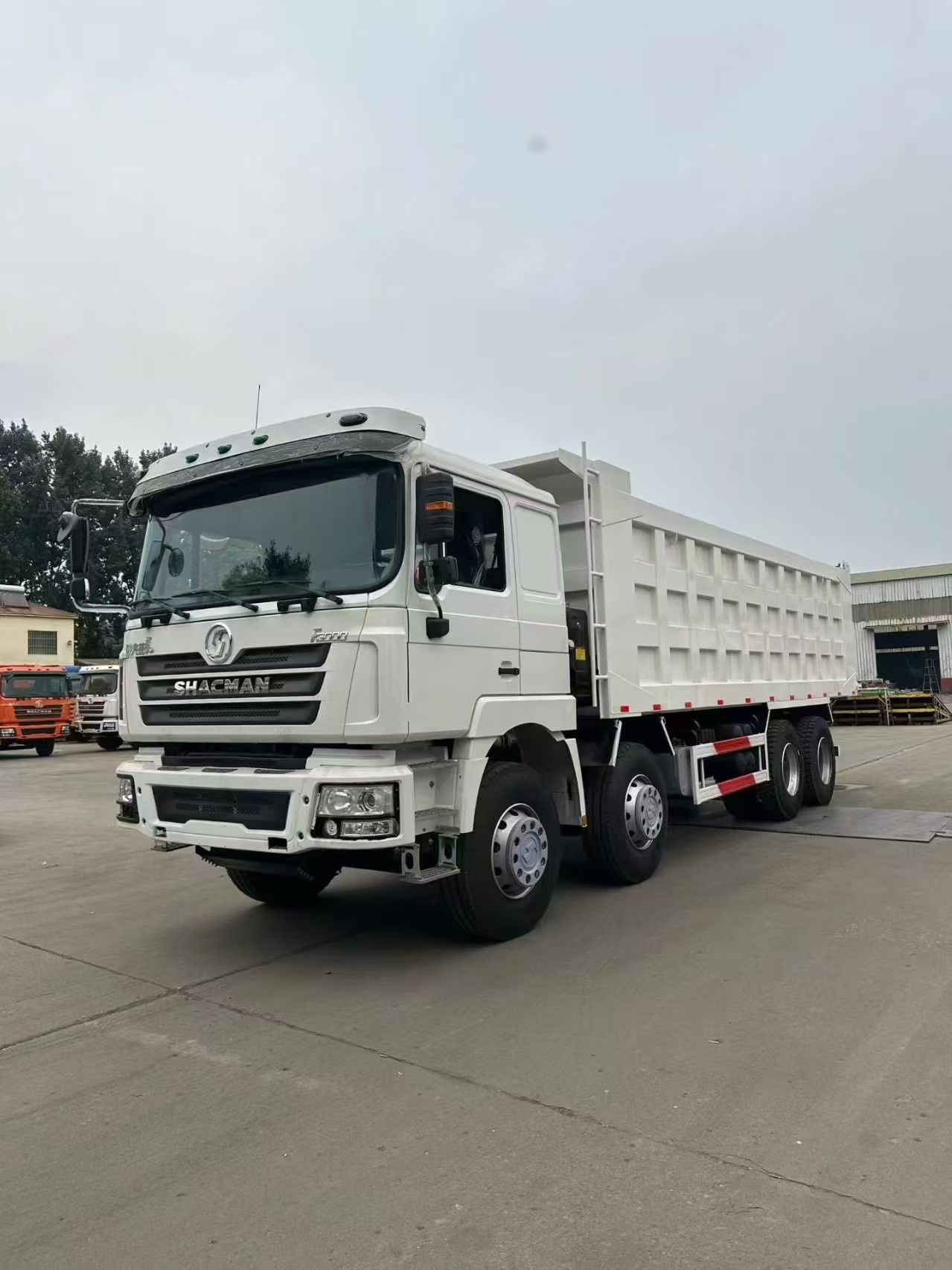 Shaanxi Delong F3000 large pump engine 8×4 dump truck