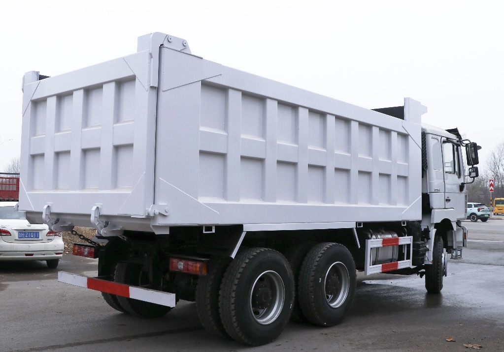 Shacman Delong F3000 6×4 Heavy Duty Dump Truck (Chassis Model: SX3258DR384)