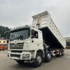 Shaanxi Delong F3000 large pump engine 8×4 dump truck