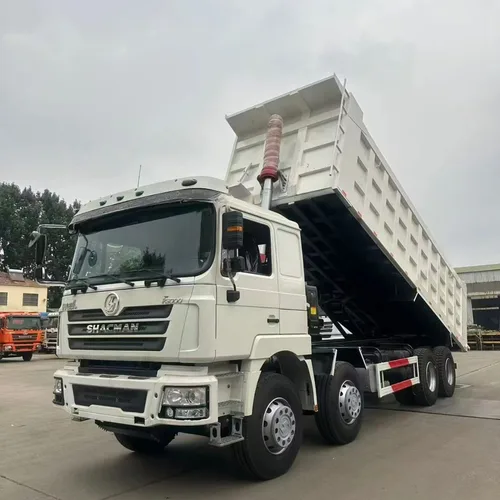 Shaanxi Delong F3000 large pump engine 8×4 dump truck