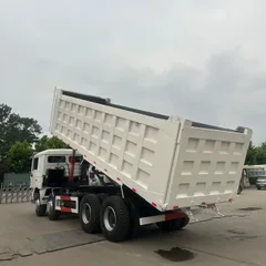 Shaanxi Delong F3000 large pump engine 8×4 dump truck