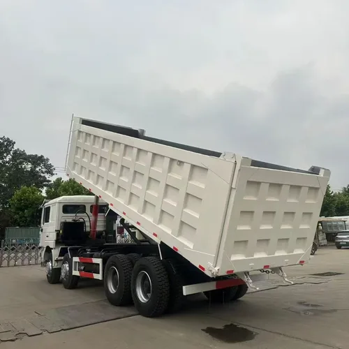 Shaanxi Delong F3000 large pump engine 8×4 dump truck