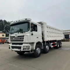 Shaanxi Delong F3000 large pump engine 8×4 dump truck