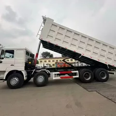 Shaanxi Delong F3000 large pump engine 8×4 dump truck