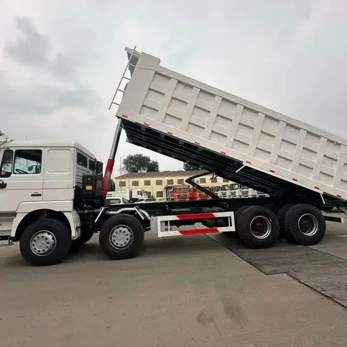 Shaanxi Delong F3000 large pump engine 8×4 dump truck