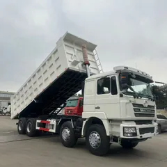Shaanxi Delong F3000 large pump engine 8×4 dump truck