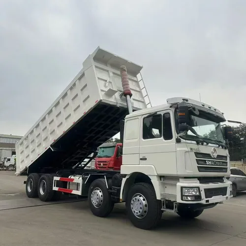 Shaanxi Delong F3000 large pump engine 8×4 dump truck
