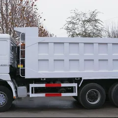 Shacman Delong F3000 6×4 Heavy Duty Dump Truck (Chassis Model: SX3258DR384)