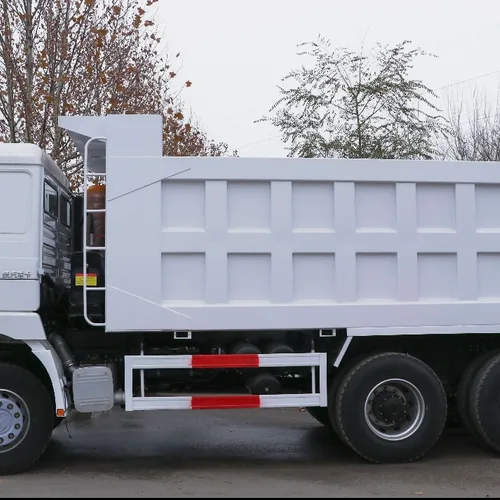 Shacman Delong F3000 6×4 Heavy Duty Dump Truck (Chassis Model: SX3258DR384)
