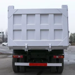 Shacman Delong F3000 6×4 Heavy Duty Dump Truck (Chassis Model: SX3258DR384)
