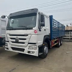 HOWO 6x4 Heavy Duty Stake Fence Cargo Truck (371HP)
