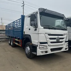 HOWO 6x4 Heavy Duty Stake Fence Cargo Truck (371HP)