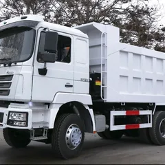 Shacman Delong F3000 6×4 Heavy Duty Dump Truck (Chassis Model: SX3258DR384)
