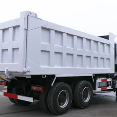 Shacman Delong F3000 6×4 Heavy Duty Dump Truck (Chassis Model: SX3258DR384)